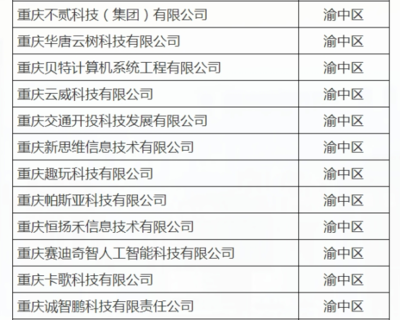 渝中12家企業(yè)入選重慶首批“滿天星”示范企業(yè)，引領(lǐng)軟件開(kāi)發(fā)新高度